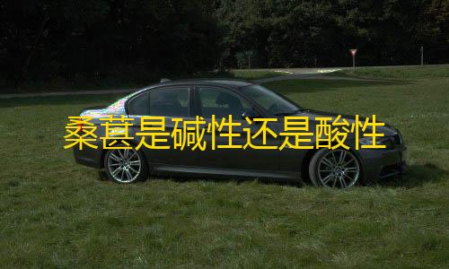 低价发卡网24小时平台桑葚是碱性还是酸性